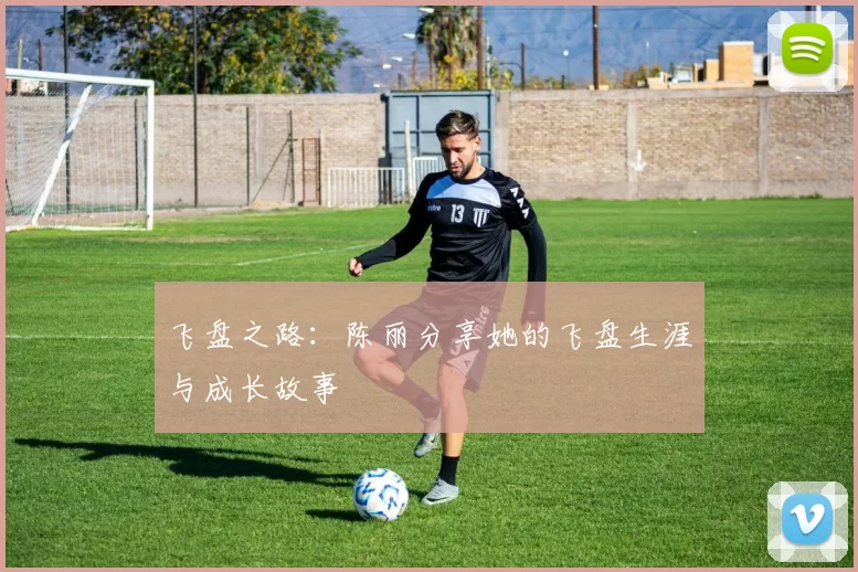 飞盘之路:陈丽分享她的飞盘生涯与成长故事