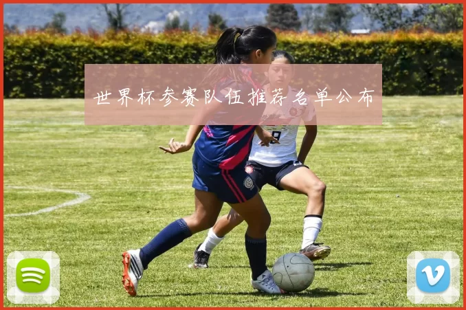 世界杯参赛队伍推荐名单公布