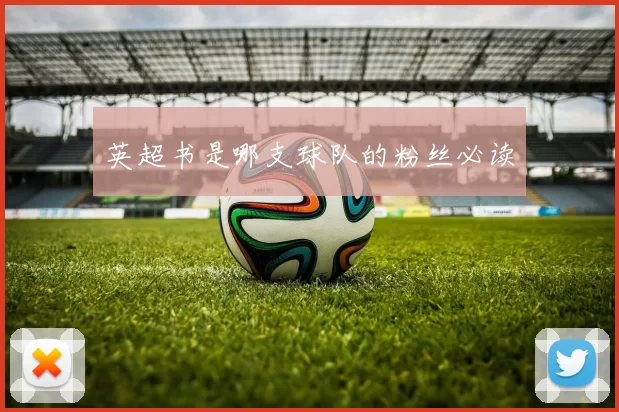 英超书是哪支球队的粉丝必读