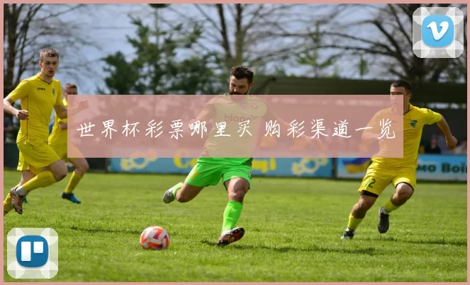 世界杯彩票哪里买 购彩渠道一览