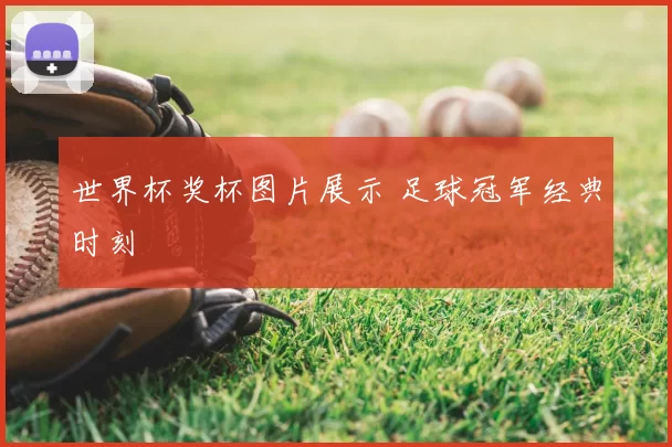 世界杯奖杯图片展示 足球冠军经典时刻
