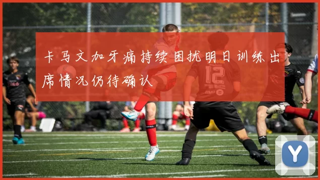 卡马文加牙痛持续困扰明日训练出席情况仍待确认