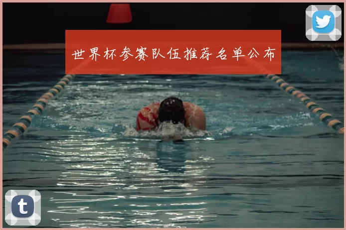 世界杯参赛队伍推荐名单公布