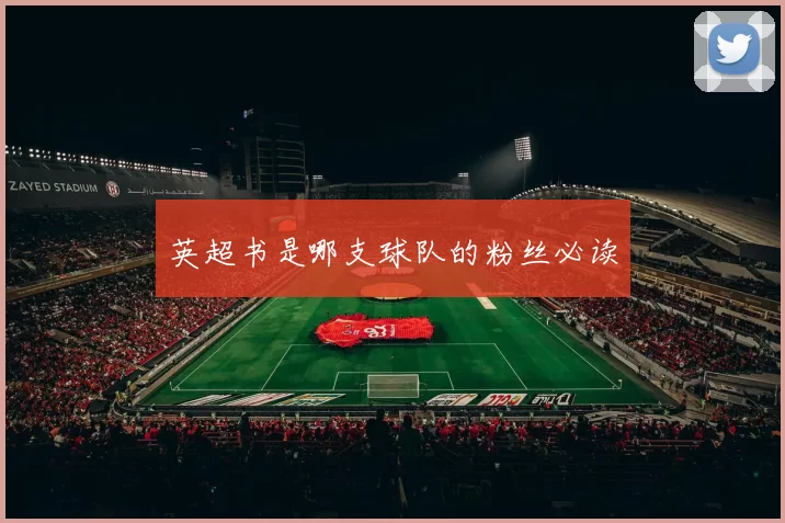 英超书是哪支球队的粉丝必读